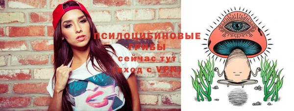 шишки Абдулино