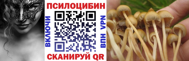 Псилоцибиновые грибы мухоморы  купить наркотики цена  Лабинск 